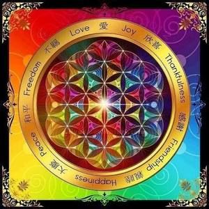 Meet your Posher, Genevieve